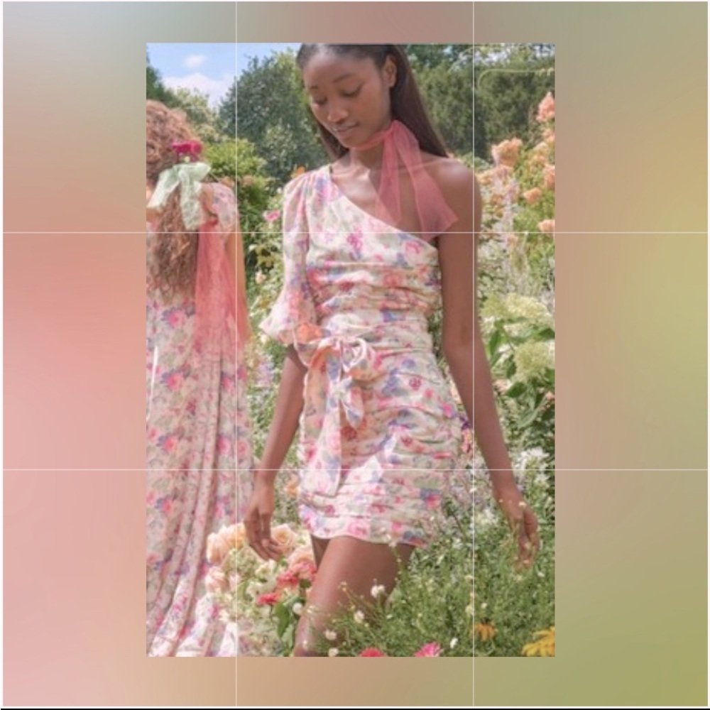 💍NWOT LoveShackFancy Altie Dress in VEILED KISS! 💝